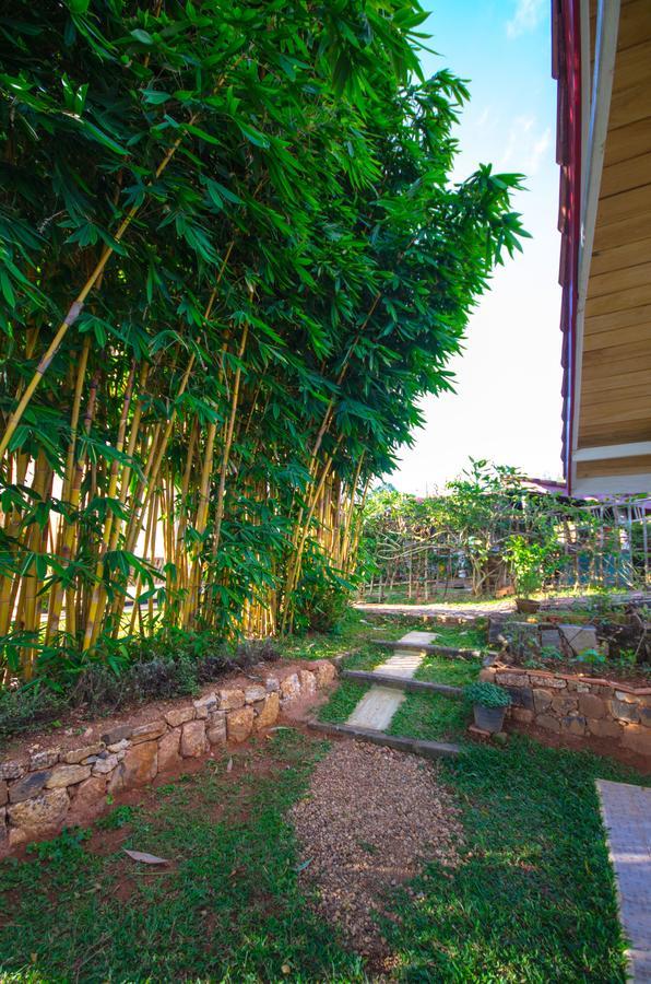 Summit View Bed & Breakfast Канди Екстериор снимка
